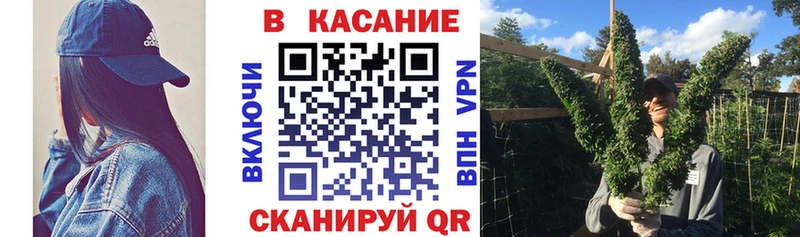 Купить закладку Бошки Шишки  Кокаин  Alpha-PVP  Метадон  МЕФ  Сенгилей