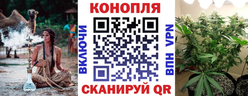 Купить где  Сенгилей  Бошки Шишки конопля 